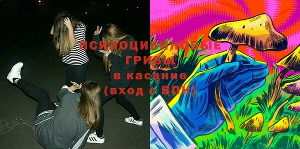 дурь Магас