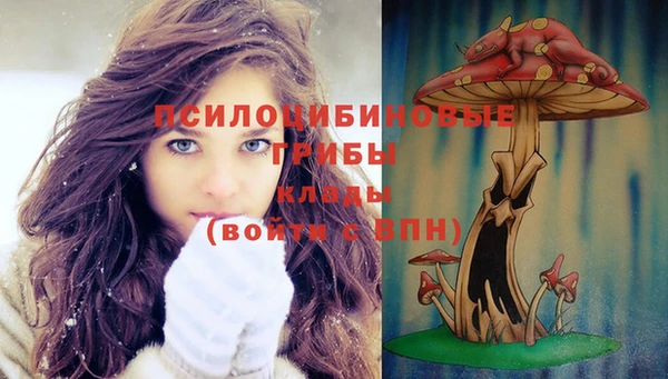 МДПВ Медвежьегорск