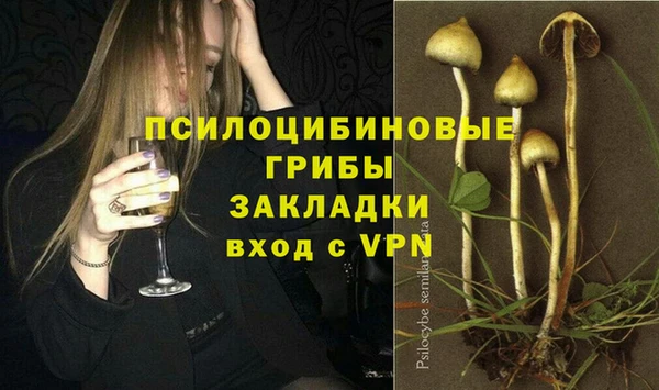 МДПВ Медвежьегорск