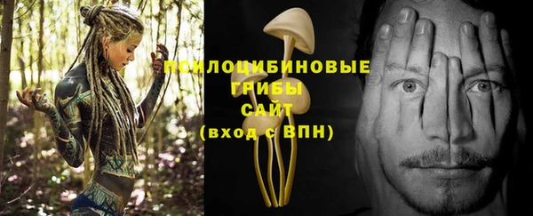 МДПВ Медвежьегорск
