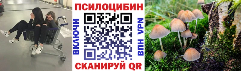blacksprut ссылка  Динская  Галлюциногенные грибы MAGIC MUSHROOMS 